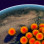 Pandemics